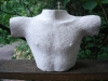 Torso